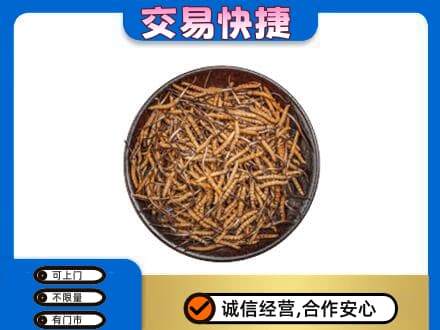 沧州献县高价回收散虫草