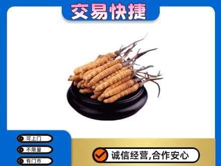 沧州献县礼品回收散虫草.jpg